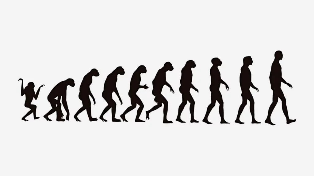 The iconic sequence of silhouettes illustrating human evolution from an ape-like ancestor to modern man.