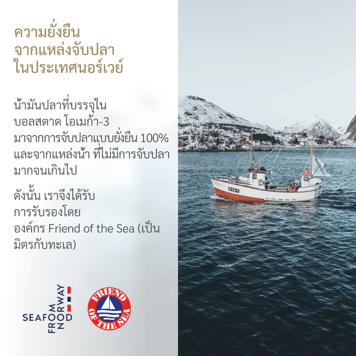 อาหารเสริมโอเมก้า-3 บริสุทธิ์จากนอร์เวย์