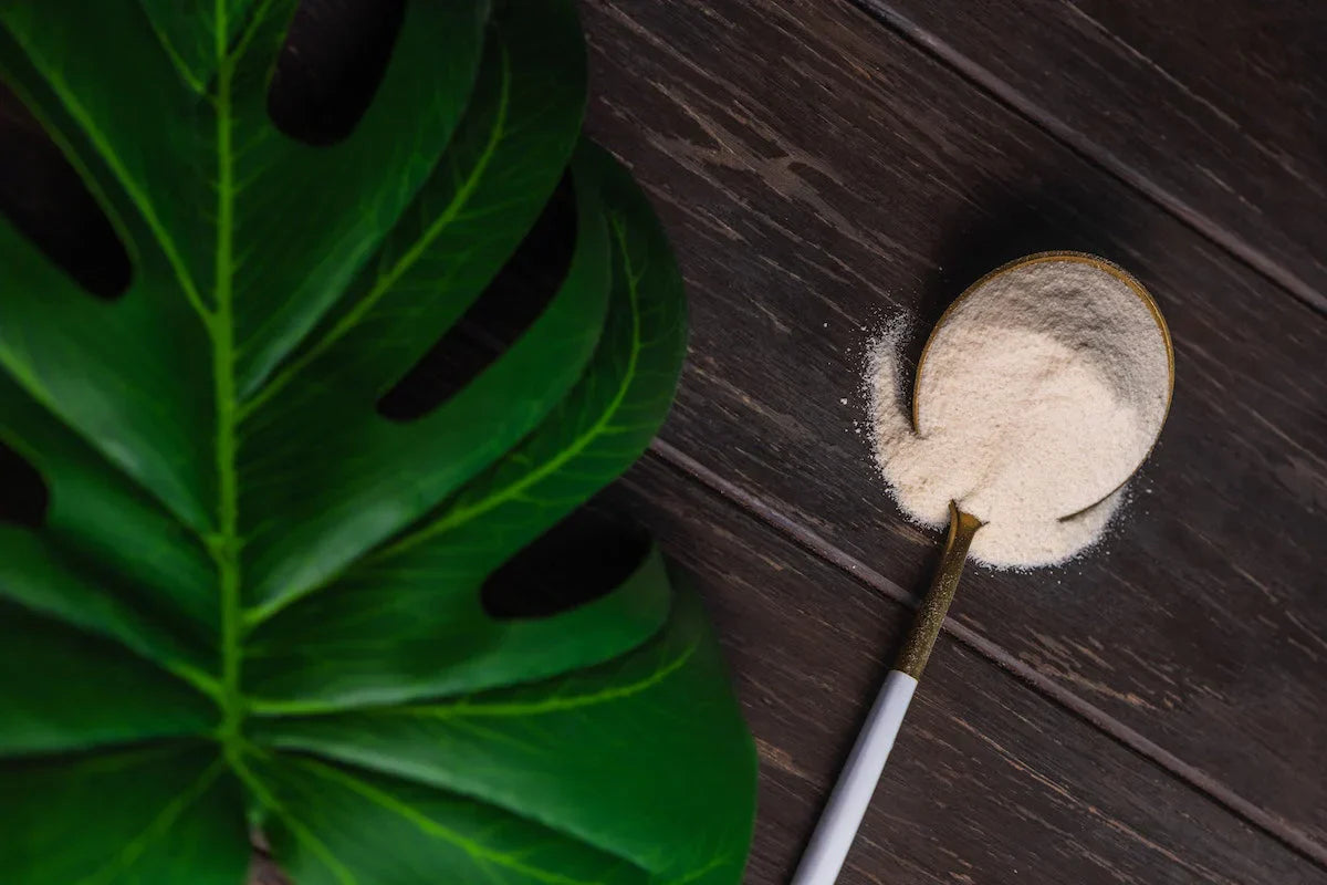 Spoonful of white powder on a dark wooden surface with a green leaf.