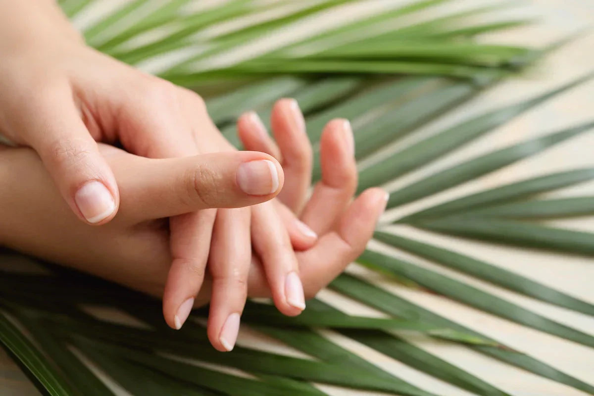 Close-up of hands with light nail polish on a green leaf background