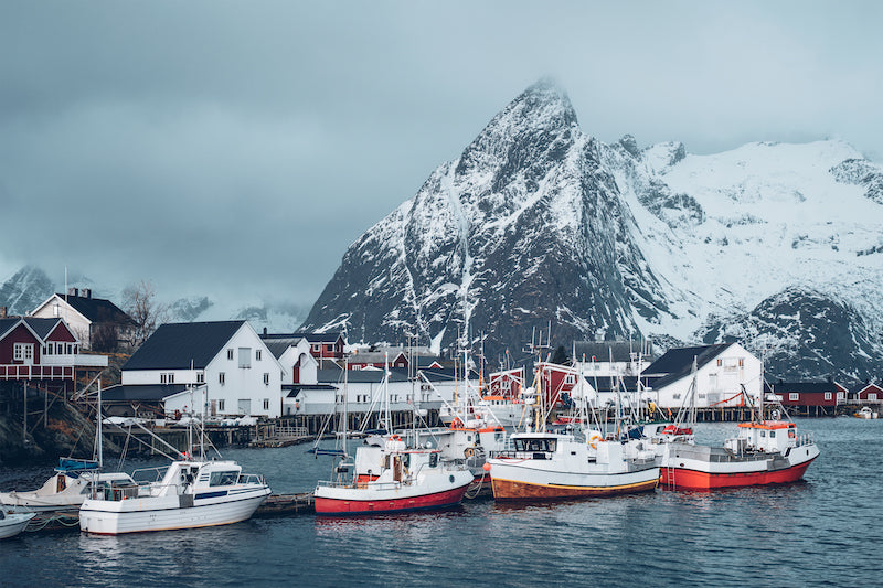Fishing boats docked in a harbor with snow-capped mountains in the background