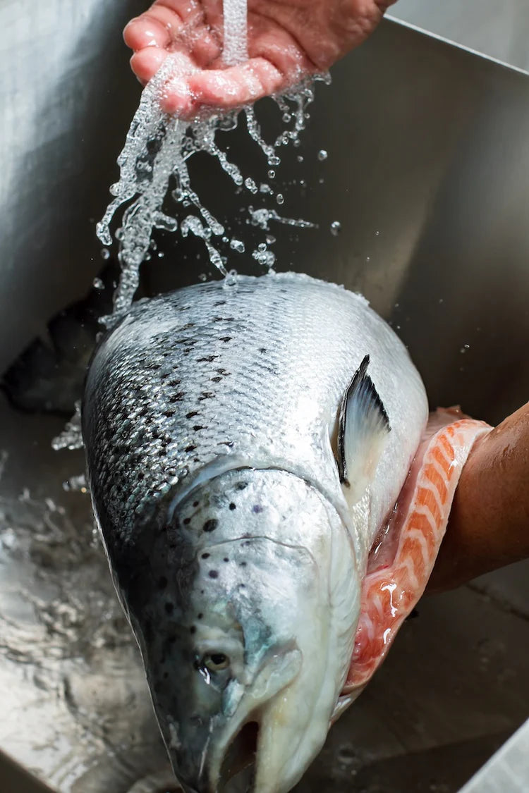 Fresh salmon being washed under running water, showing the fish head and fillet in a kitchen sink.