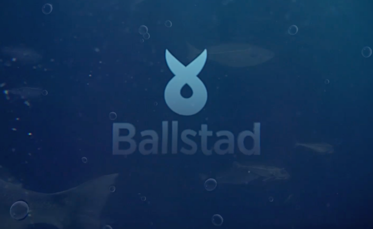Load video: Ballstad SC Magdeburg partnership interviews