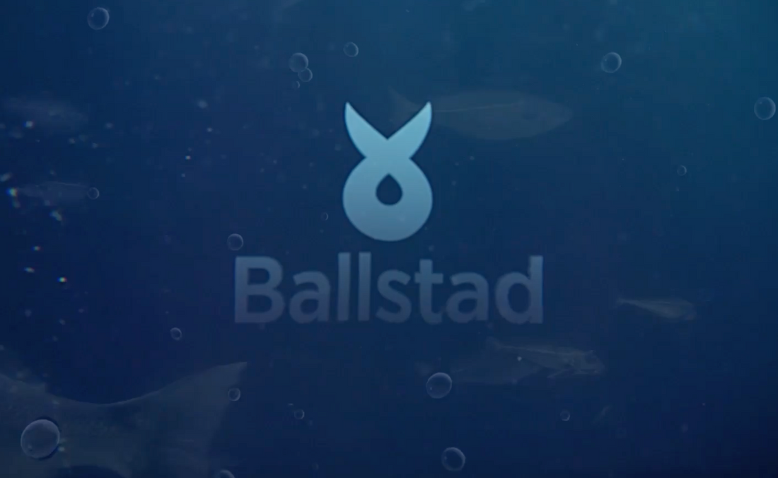 Ballstad SC Magdeburg partnership interviews